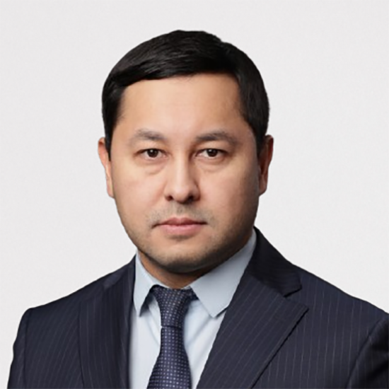 Mr. Damir Narynbayev